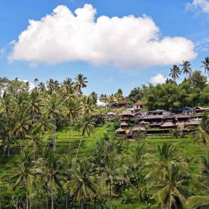 HOTEL JOURNEYS | INDONESIA