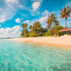 Maldives island beach. Tropical landscape of summer scenery, white sand with palm trees. Luxury travel vacation destination. Exotic beach landscape. Amazing nature, relax, freedom nature resort coast