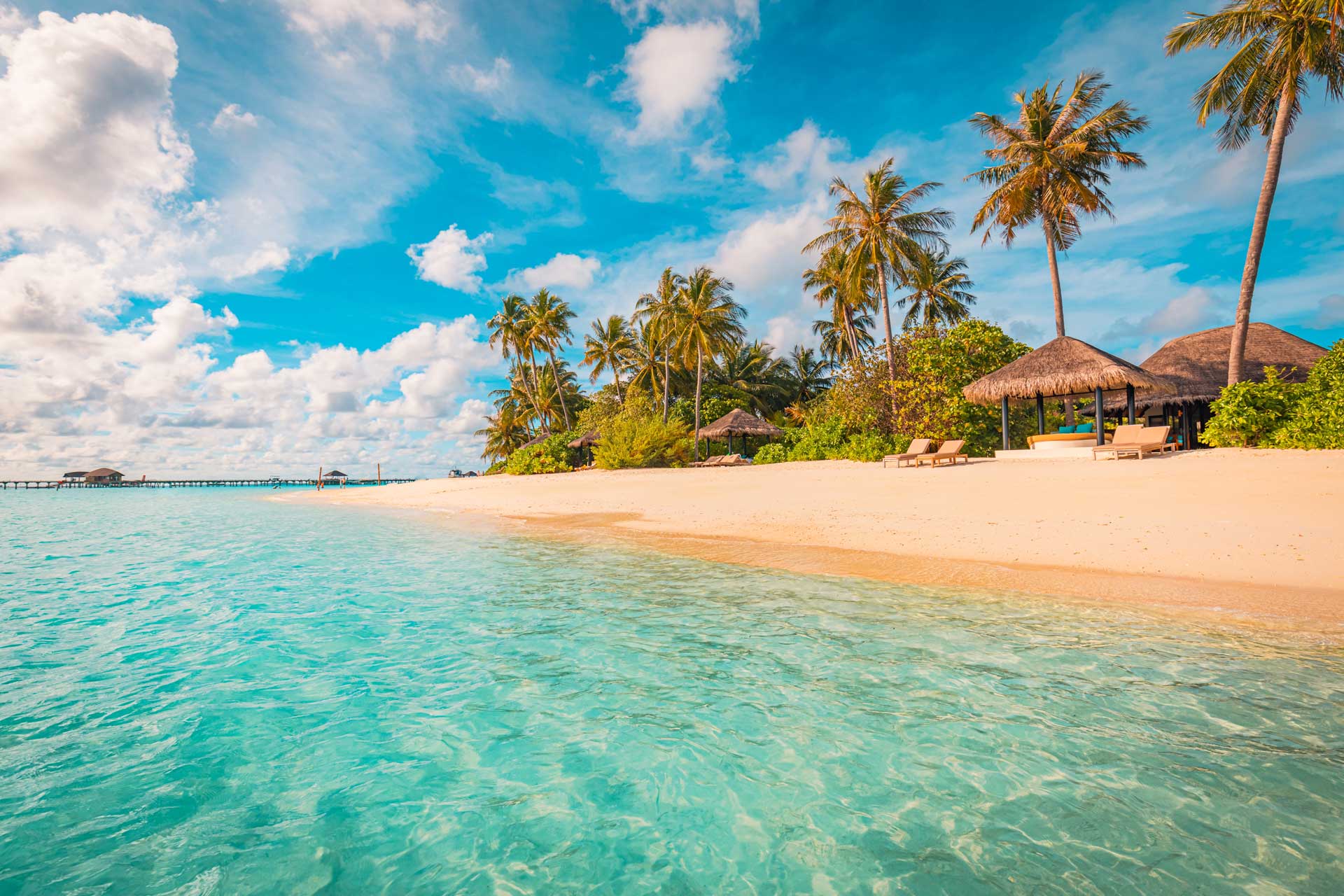 Maldives island beach. Tropical landscape of summer scenery, white sand with palm trees. Luxury travel vacation destination. Exotic beach landscape. Amazing nature, relax, freedom nature resort coast